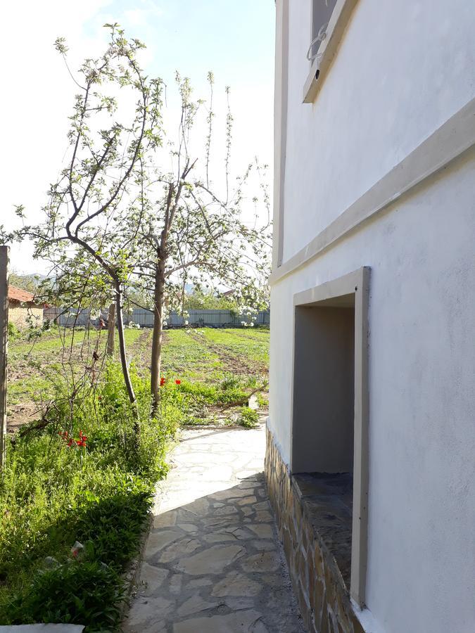 Popovi Koshari Guest House Dolno Panicherevo ภายนอก รูปภาพ