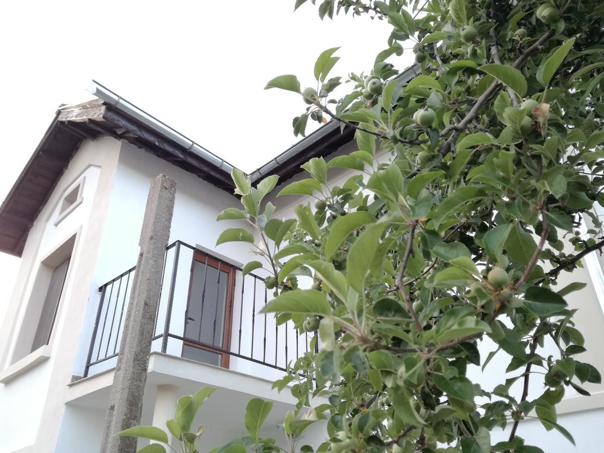 Popovi Koshari Guest House Dolno Panicherevo ภายนอก รูปภาพ